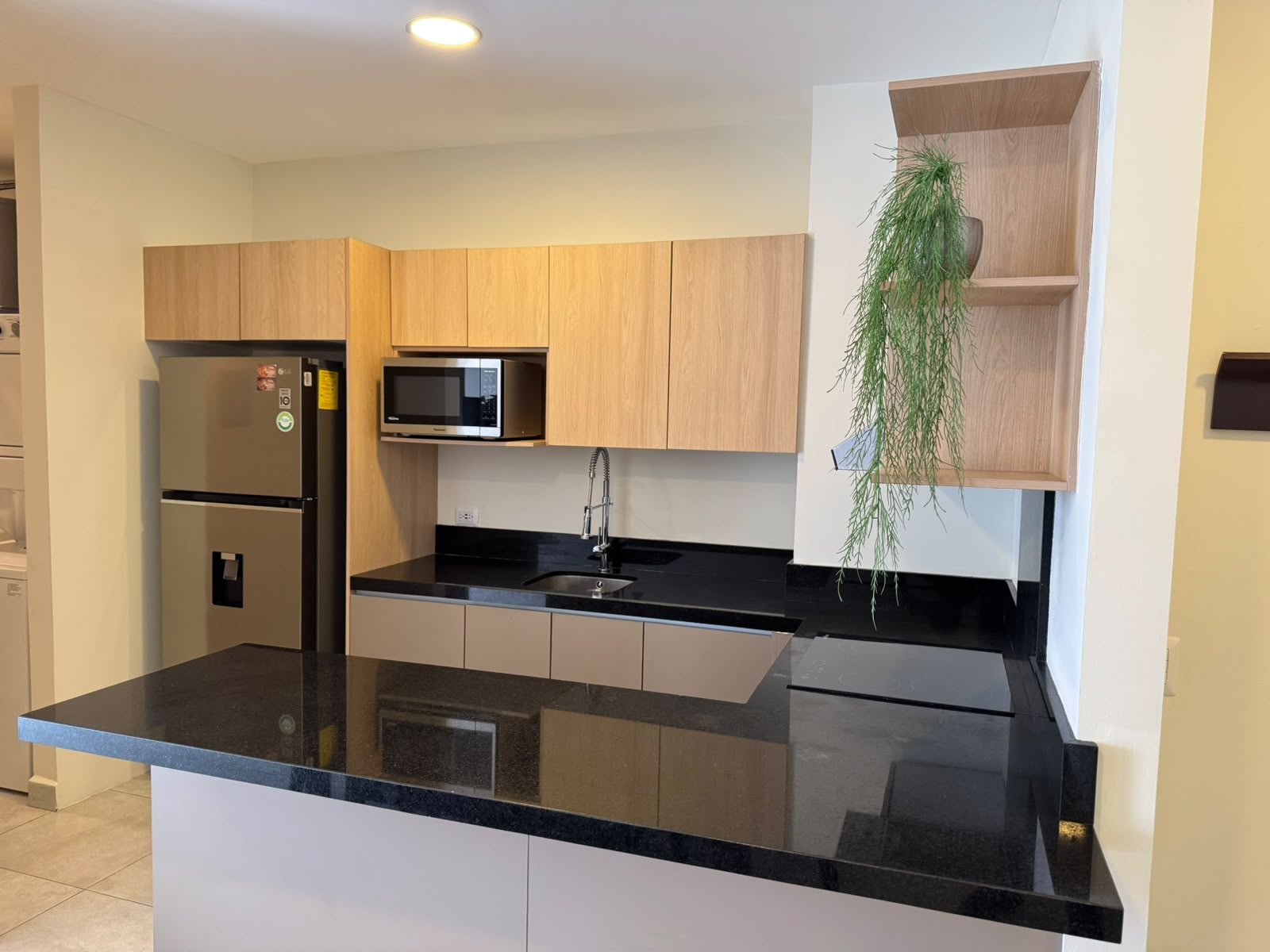 DEPARTAMENTO EN RENTA TORRE LUZIA ZONA CENTRO — imagen 2