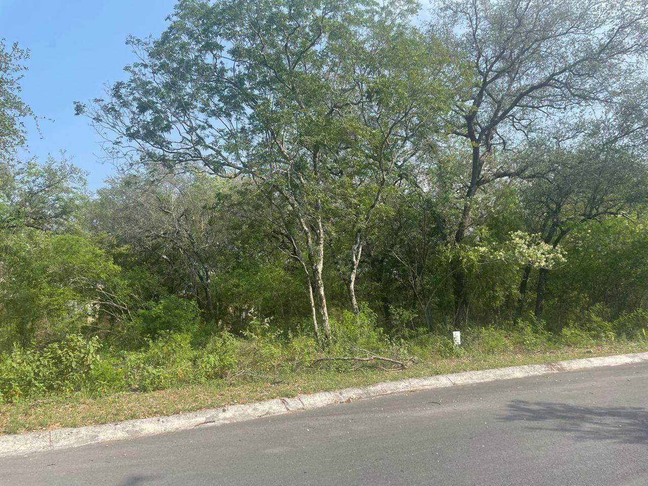 TERRENO EN VENTA BOSQUE RESIDENCIAL ZONA SANTIAGO — imagen 2